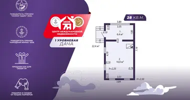 House in Starobinski sielski Saviet, Belarus