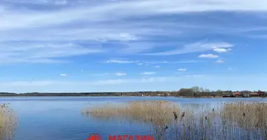 Maison dans Aziory, Bélarus