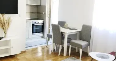 Apartamento 1 habitacion en Montenegro