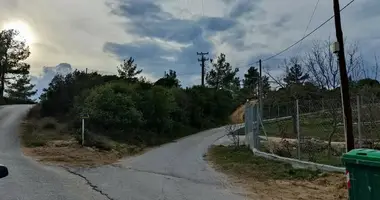 Участок земли в Kavala Municipality, Греция