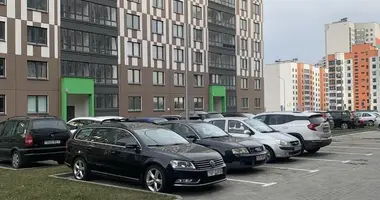 2 room apartment in Minsk, Belarus