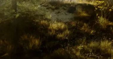 Appartement dans Pera Pedi, Chypre