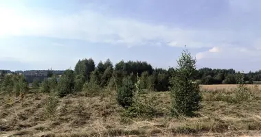Участок земли в Погостский сельский Совет, Беларусь