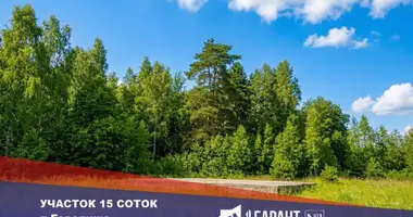 Działka w Haradzishcha, Białoruś