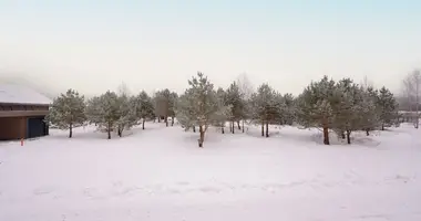 Участок земли в Vikuli, Латвия