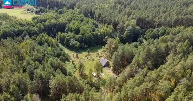 Casa en Jaskonys, Lituania