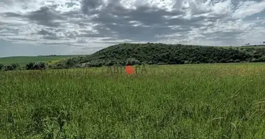 Terrain dans Marinka, Bulgarie