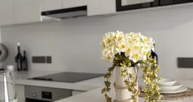 Студия в Лефконико, Северный Кипр