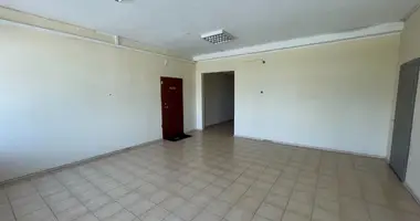 Gewerbefläche 160 m² in Alitten, Litauen