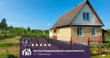 Haus in Pliski sielski Saviet, Belarus