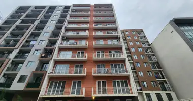 2 bedroom apartment in Tbilisi, Georgia