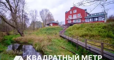 Коттедж в Хатежинский сельский Совет, Беларусь