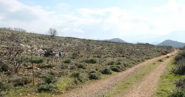 Terrain dans Municipality of Agios Nikolaos, Grèce