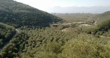 Terrain dans Milies, Grèce