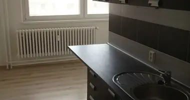 Appartement 1 chambre dans Ivancice, République tchèque