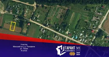 Plot of land in Scomyslicki sielski Saviet, Belarus