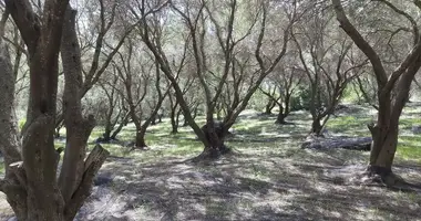 Участок земли в Виталадес, Греция