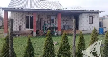 House in Carnaucycki sielski Saviet, Belarus