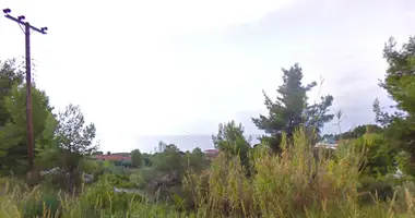 Terrain dans Kassandrino, Grèce