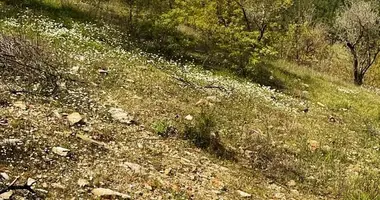 Terrain dans Denizova, Turquie