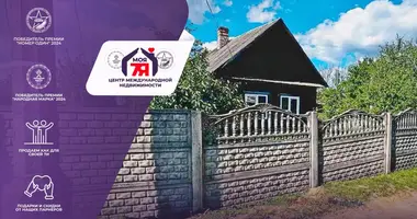 House in Starobinski sielski Saviet, Belarus