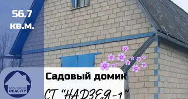 Haus in Navamysski sielski Saviet, Belarus