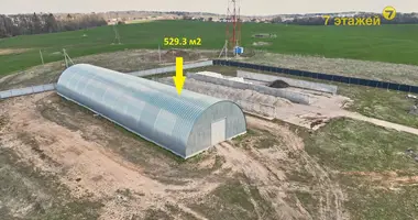 Warehouse 529 m² in Navasyno, Belarus