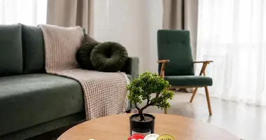 2 bedroom apartment in Minsk, Belarus