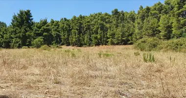 Plot of land in Kassandra Municipality, Greece