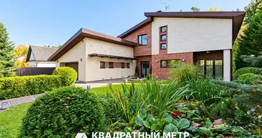Дом в Ждановичи, Беларусь