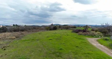 Terrain dans Polis Chrysochous, Chypre