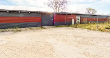 Gewerbefläche 306 m² in Ponewiesch, Litauen