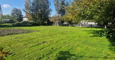 Terrain dans Panemuninkeliai, Lituanie