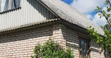 Dom w Ratomka, Białoruś