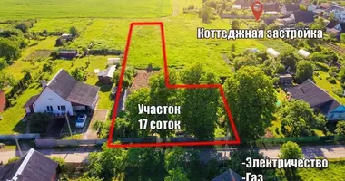 Terrain dans Baraulianski sielski Saviet, Bélarus