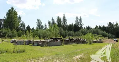 Działka w Telminski sielski Saviet, Białoruś