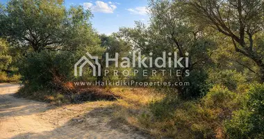 Участок земли в Амолиани/Амулиани/Амульяни/Аммулияни, Греция