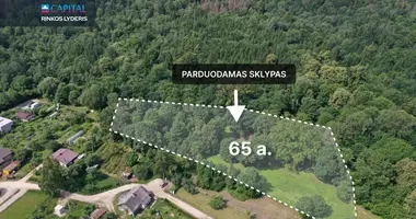 Plot of land in Akademija, Lithuania