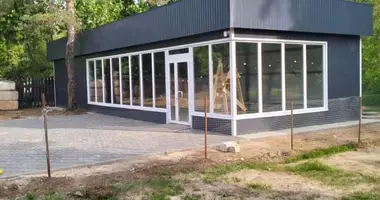 Commercial property 120 m² in Udelnaya, Russia