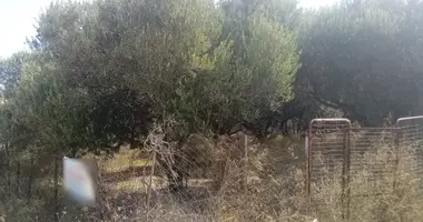 Parcela en Municipality of Malevizi, Grecia