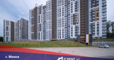 2 room apartment in Minsk, Belarus