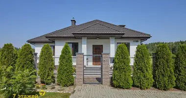Cottage in Samachvalavicki sielski Saviet, Belarus