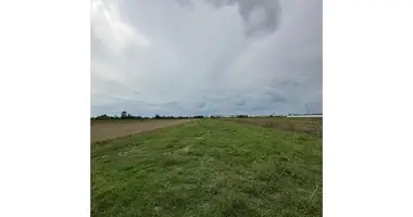 Terrain dans Bashkia Shijak, Albanie