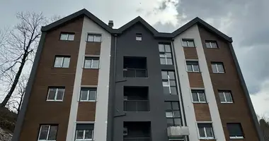 1 bedroom apartment in Kolasin, Montenegro