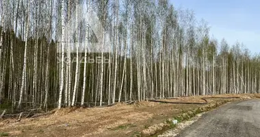 Działka w municipalnyj okrug Istra, Rosja