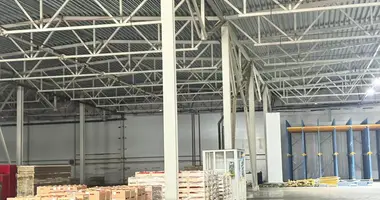 Склад 3 600 м² в Раменский муниципальный округ, Россия
