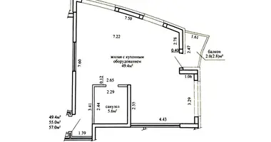 Appartement 1 chambre dans Minsk, Bélarus