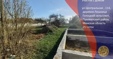 Дом в Голоцкий сельский Совет, Беларусь