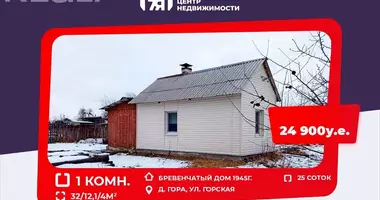Cottage in Hara, Belarus