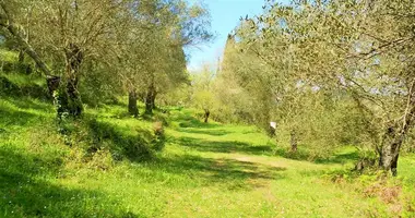 Parcela en Vatos, Grecia